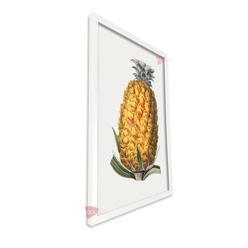 bl frutas vertical fvf90.jpg