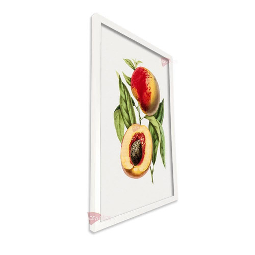 bl frutas vertical fvf93.jpg