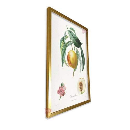 mdr frutas vertical fvf99.jpg