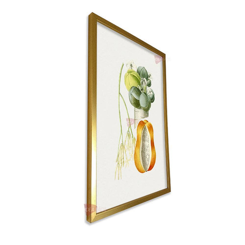 mdr frutas vertical fvf91.jpg
