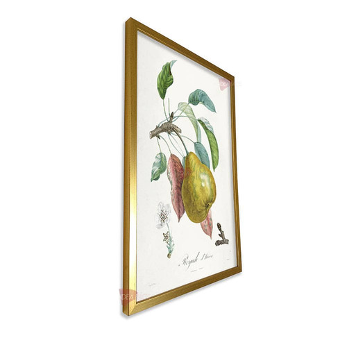 mdr frutas vertical fvf96.jpg