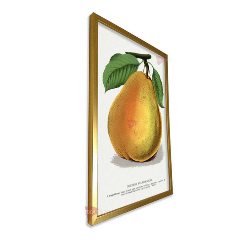 mdr frutas vertical fvf86.jpg