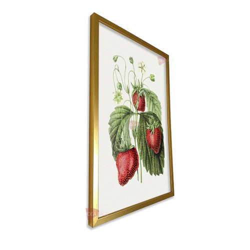 mdr frutas vertical fvf87.jpg