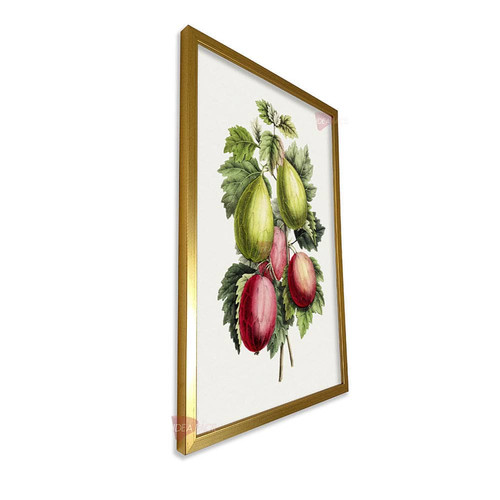 mdr frutas vertical fvf88.jpg