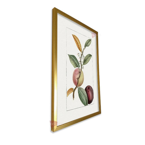 mdr frutas vertical fvf92.jpg