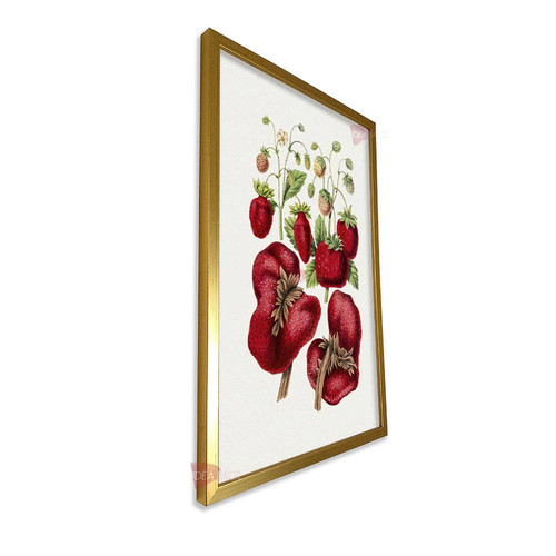 mdr frutas vertical fvf89.jpg