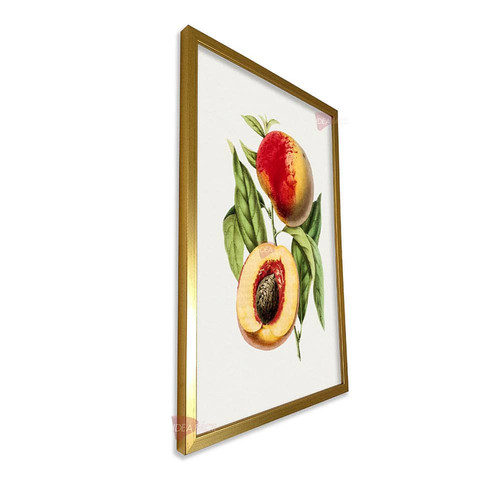 mdr frutas vertical fvf93.jpg