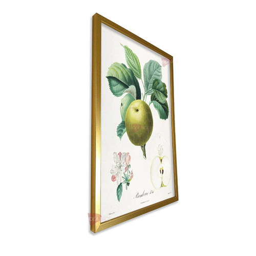 mdr frutas vertical fvf98.jpg