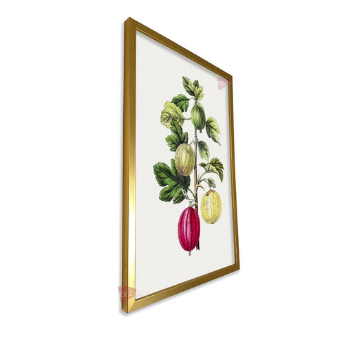 mdr frutas vertical fvf94.jpg