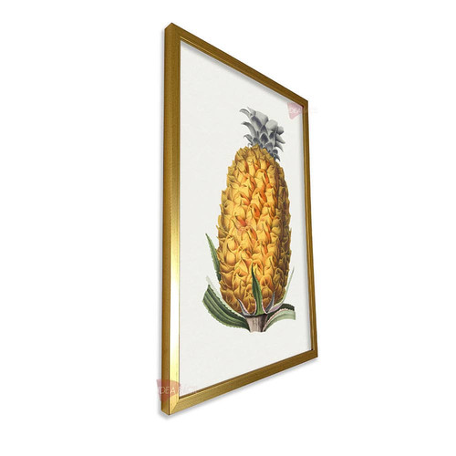 mdr frutas vertical fvf90.jpg