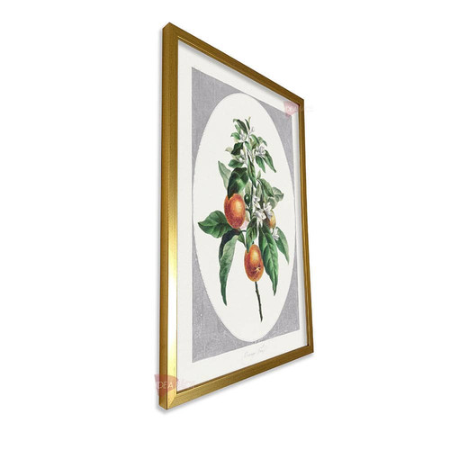 mdr frutas vertical fvf101.jpg