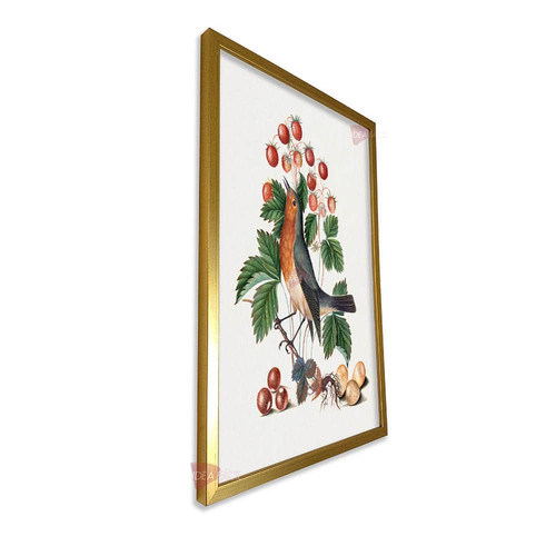mdr frutas vertical fvf102.jpg