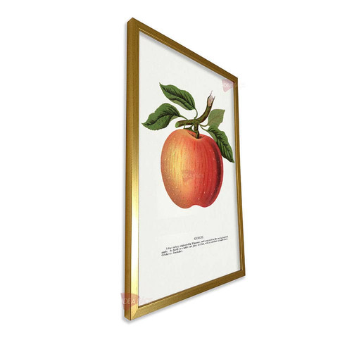 mdr frutas vertical fvf104.jpg