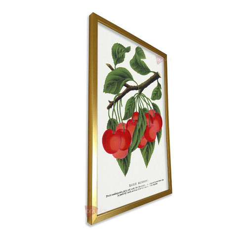 mdr frutas vertical fvf108.jpg