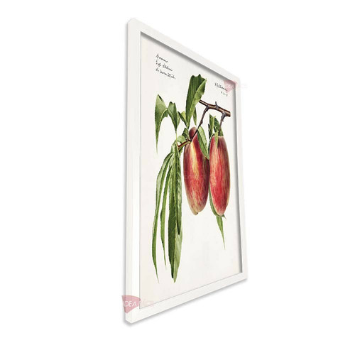 bl cocina vertical cvk36.jpg