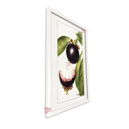 bl cocina vertical cvk37.jpg