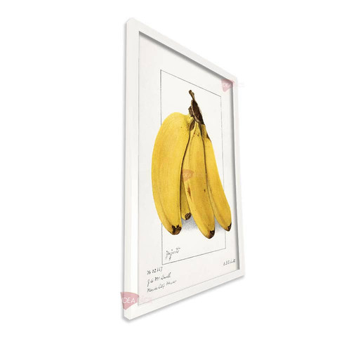 bl cocina vertical cvk32.jpg