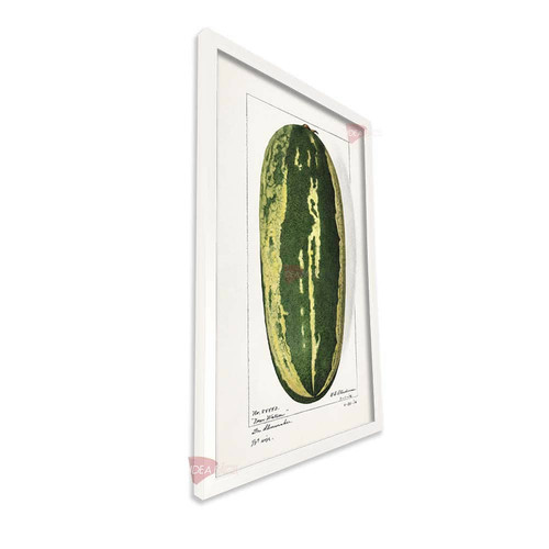 bl cocina vertical cvk54.jpg