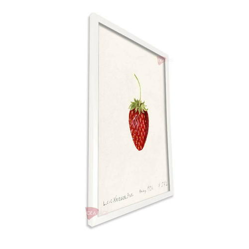 bl cocina vertical cvk30.jpg