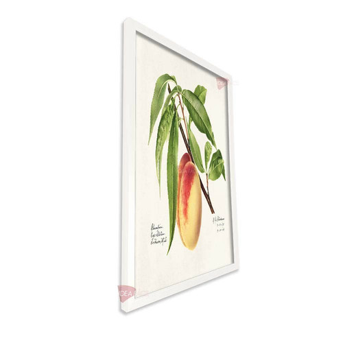 bl cocina vertical cvk46.jpg