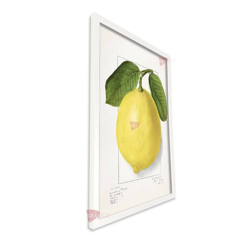 bl cocina vertical cvk55.jpg