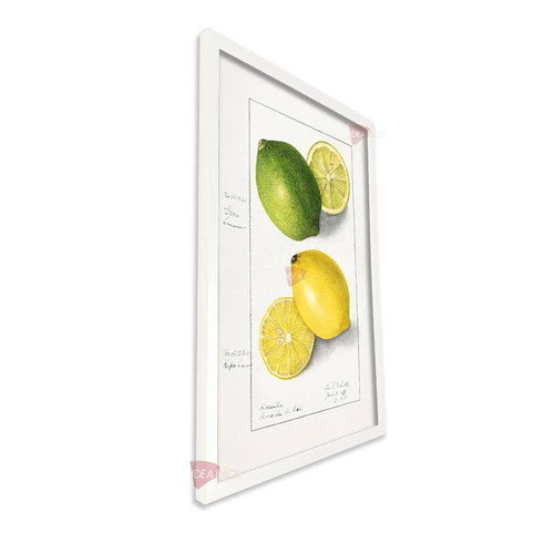 bl cocina vertical cvk31.jpg