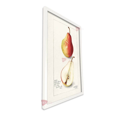 bl cocina vertical cvk51.jpg