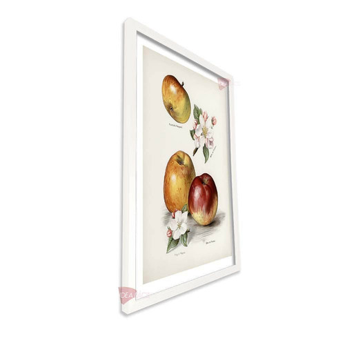 bl cocina vertical cvk41.jpg