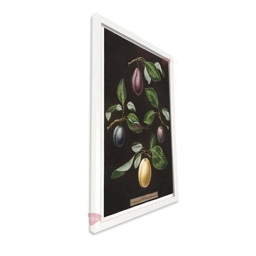 bl cocina vertical cvk42.jpg