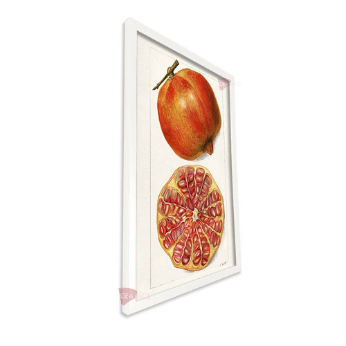 bl cocina vertical cvk35.jpg