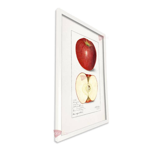 bl cocina vertical cvk44.jpg