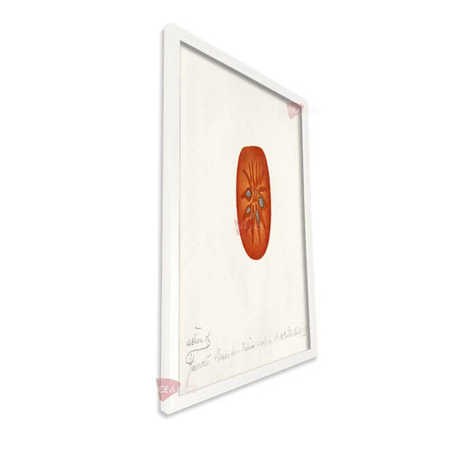 bl cocina vertical cvk48.jpg