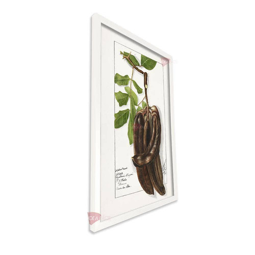 bl cocina vertical cvk53.jpg