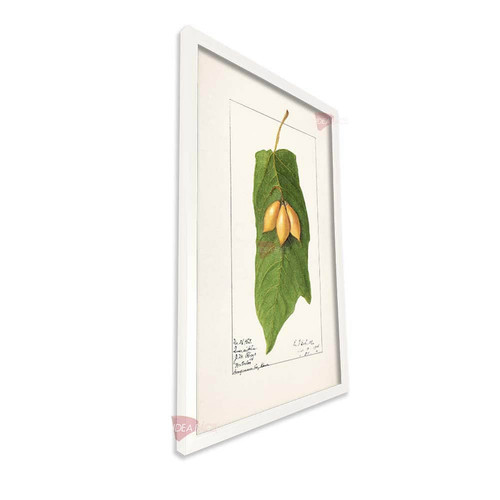 bl cocina vertical cvk49.jpg