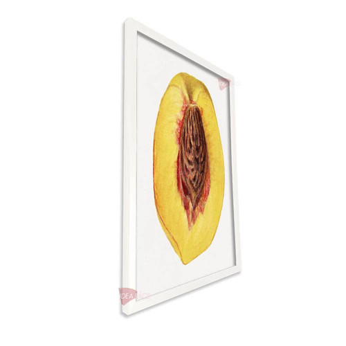 bl cocina vertical cvk84.jpg