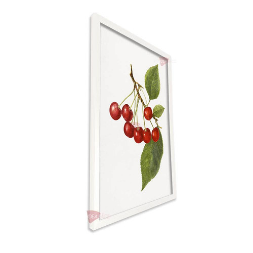 bl cocina vertical cvk66.jpg