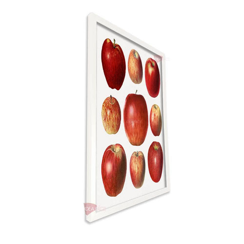 bl cocina vertical cvk71.jpg