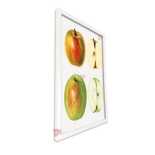 bl cocina vertical cvk72.jpg
