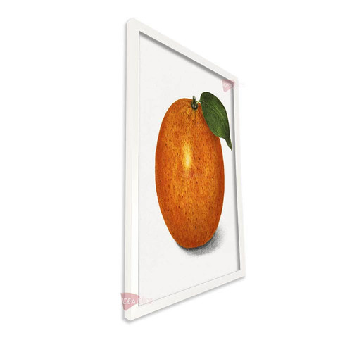 bl cocina vertical cvk64.jpg