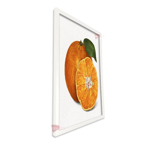 bl cocina vertical cvk65.jpg