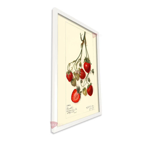 bl cocina vertical cvk97.jpg