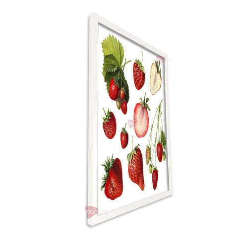 bl cocina vertical cvk88.jpg