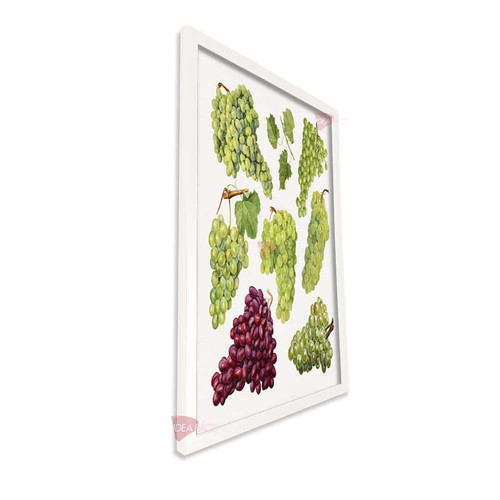 bl cocina vertical cvk89.jpg