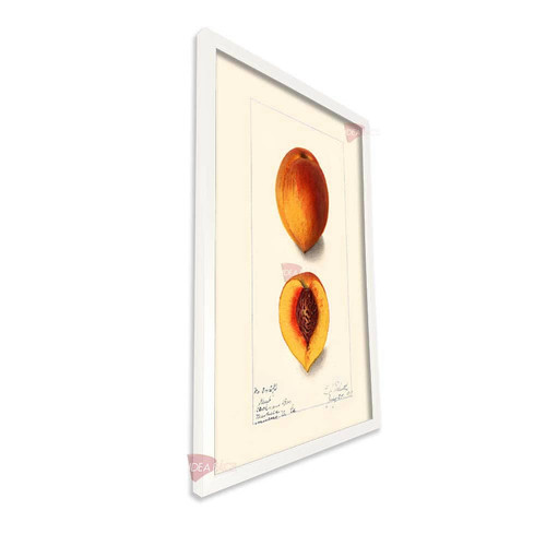 bl cocina vertical cvk98.jpg