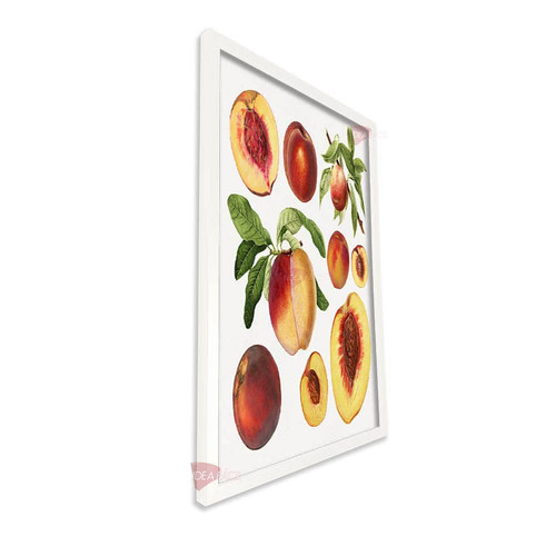 bl cocina vertical cvk70.jpg