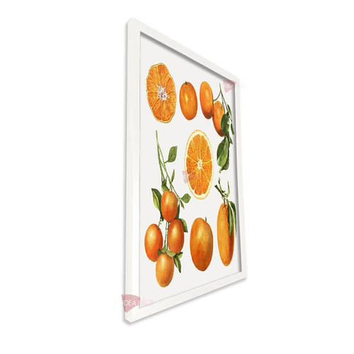 bl cocina vertical cvk74.jpg