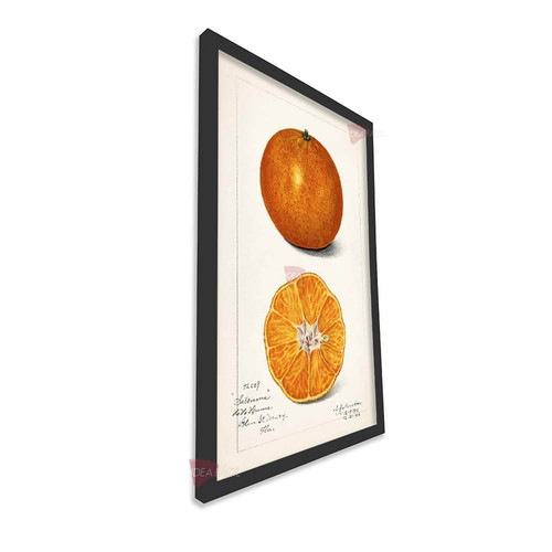 mnr cocina vertical cvk29.jpg