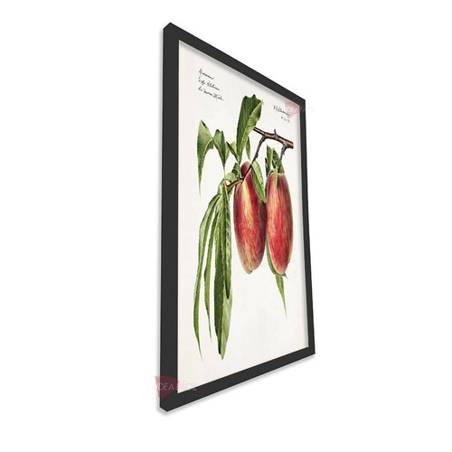 mnr cocina vertical cvk36.jpg