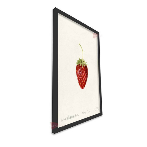 mnr cocina vertical cvk30.jpg