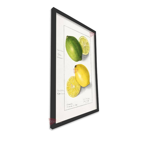 mnr cocina vertical cvk31.jpg